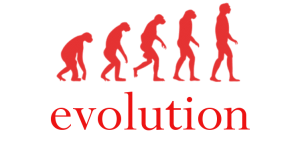 How did the bandwidth controllers evolve?