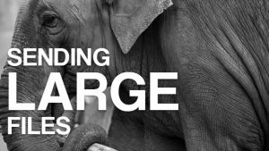 Bonding for large file transfer applications