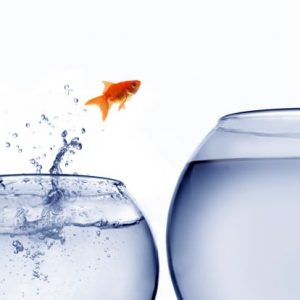 Comparing IT outsourcing and IT insourcing